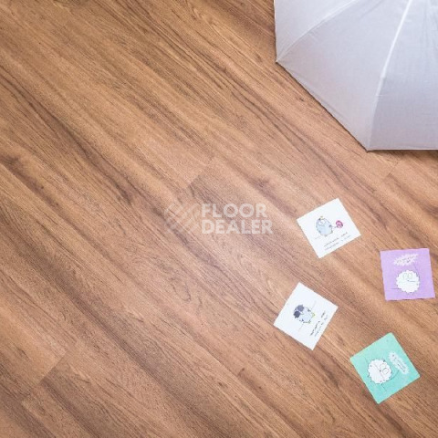 Кварцвиниловые полы Ecoclick Wood  клеевой 2.3мм NOX-1707 Дуб Виши фото 1 | FLOORDEALER